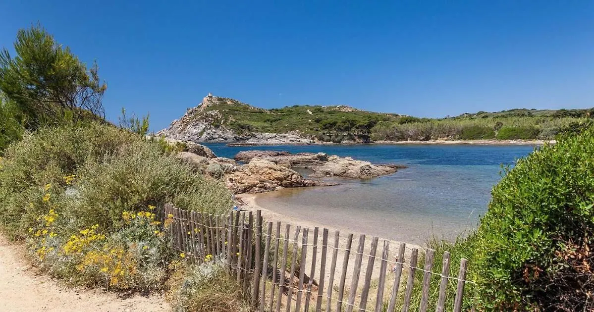 Homestay Pkg Securise Chambre Avec Salle D'Eau Privee, Cafe Ou The, Tv Micro-Ondes Jardin Et Table Sous Tilleul En Partage Apartment Six-Fours-les-Plages