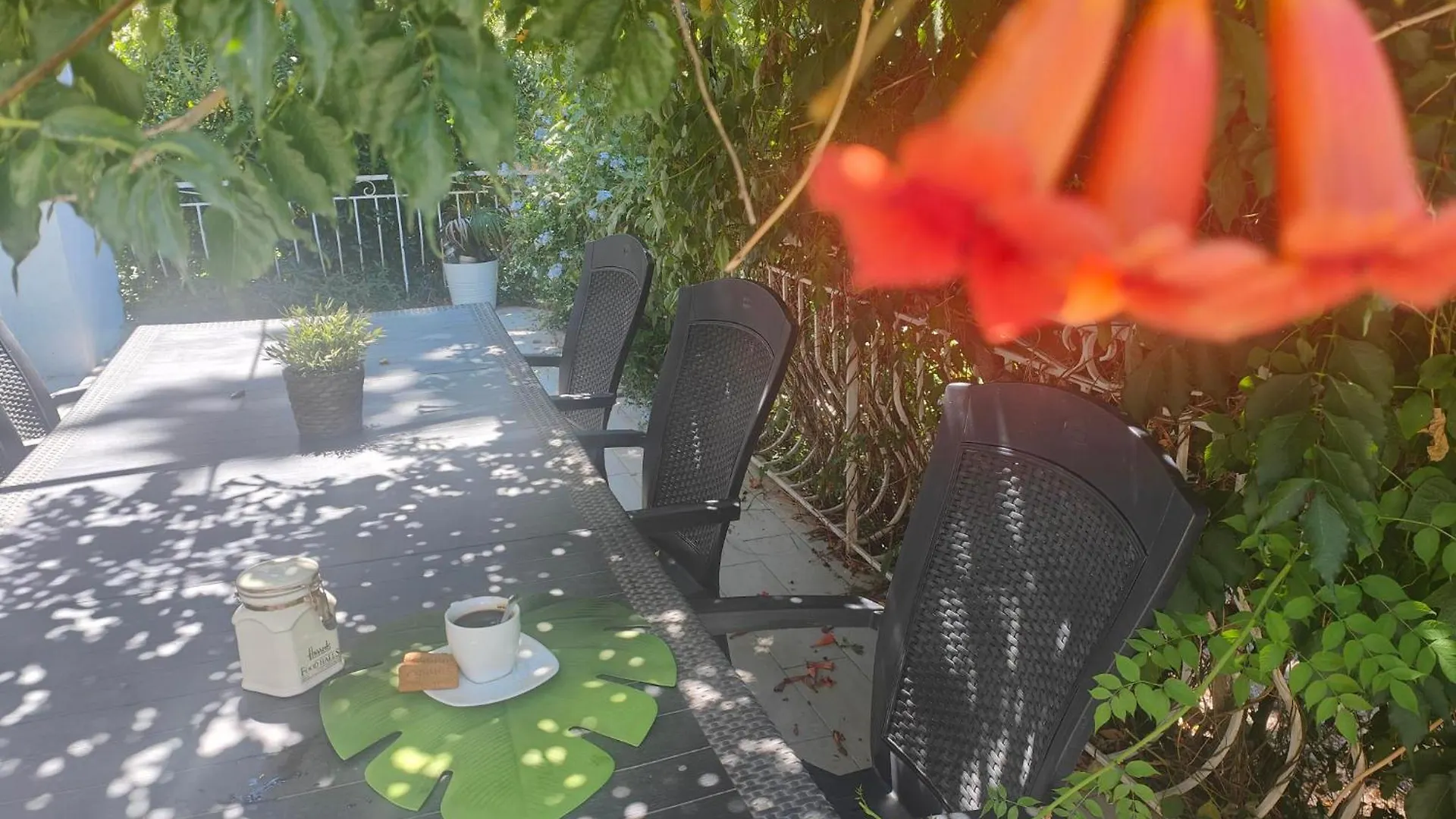 Pkg Securise Chambre Avec Salle D'Eau Privee, Cafe Ou The, Tv Micro-Ondes Jardin Et Table Sous Tilleul En Partage Apartment Six-Fours-les-Plages